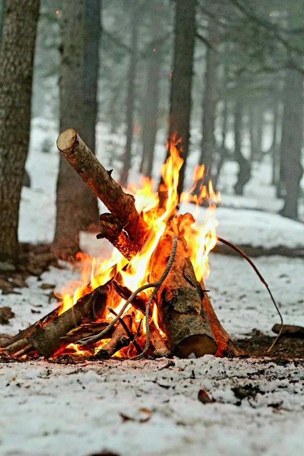 Orman içinde yanan ateş, karla kaplı zemin ve ağaçlar arasında hafif sis