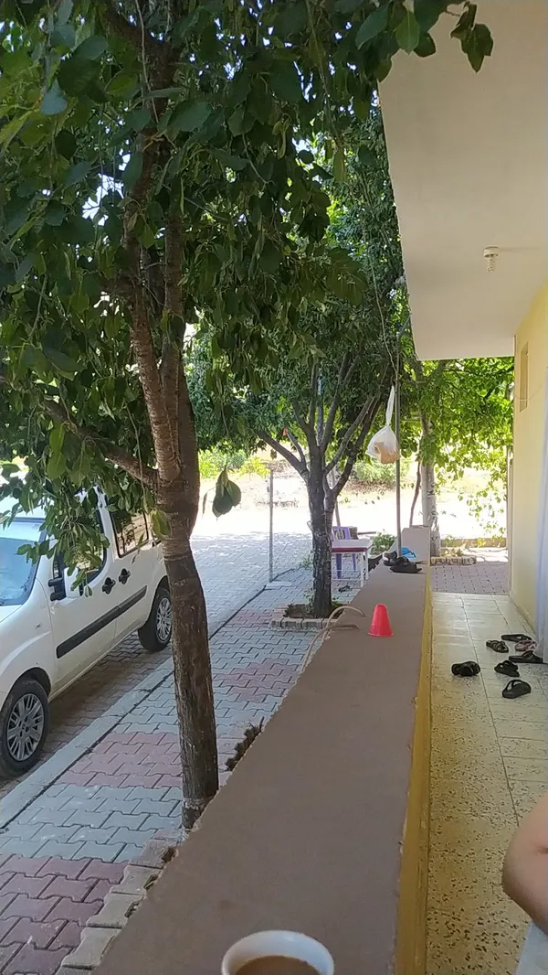 Yeşil ağaçlar arasında bir teras, fincan kahve ve beyaz araçla huzurlu bir manzara.