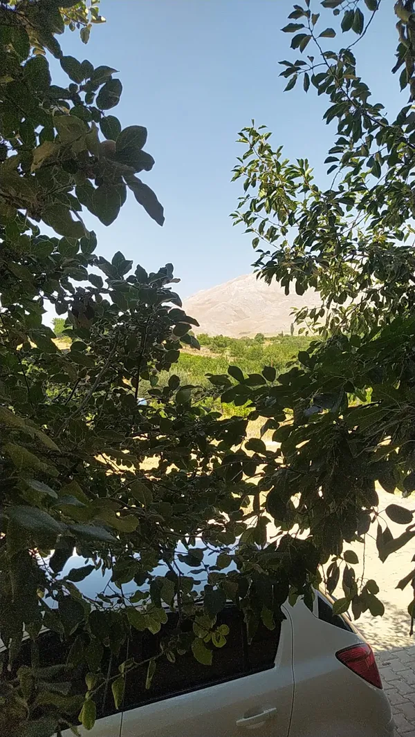 Kahramanmaraş'ın Şifa Kaynağı: Ekinözü İçmeleri Rehberi
