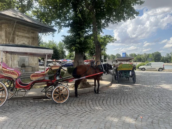 Şeyh Adil Çeşmesi'nde park etmiş kırmızı ve yeşil at arabaları, yüksek ağaçların gölgesinde.