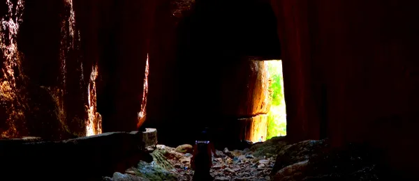 Karanlık bir mağara içi, doğal ışık ve yeşil bitkilerle dolu