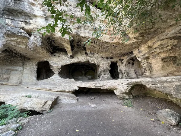 Doğal mağara yapısı, yeşil bitkilerle çevrili, kayaların organik görünümü