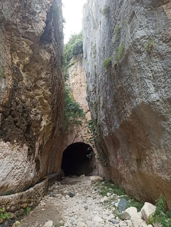 Yüksek yamaçlarla çevrili kanyonda karanlık bir geçit ve yeşilliklerin bulunduğu huzur verici manzara.