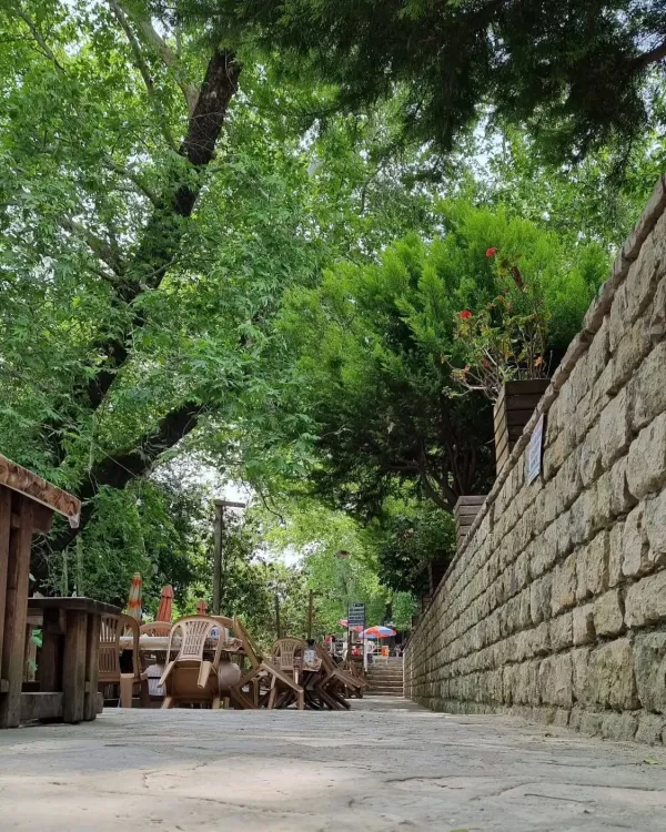 Yeşil ağaçlar arasında taş döşeli yürüyüş yolu ve ahşap masalar