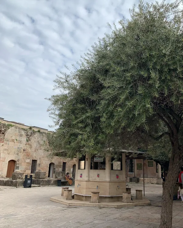 Payas Kalesi'nde tarihi çeşme, taş yapılar ve ağaçla çevrili bir alan.