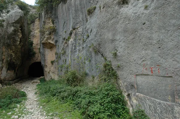 Dar bir geçitte yüksek kayalıklar, yeşil bitkiler ve eski yazılarla dolu zemin gözüküyor.