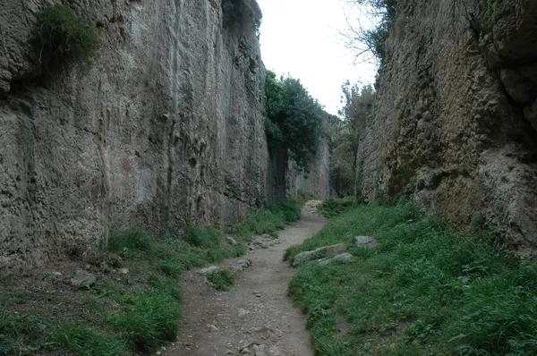 Dar bir vadide yüksek kayalık duvarlar ve yeşil çalılıklar arasında doğal bir patika.