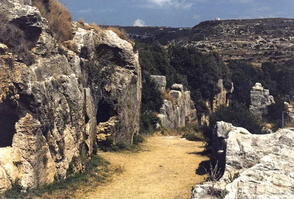 Büyük taş yapılarla çevrili, doğal bitki örtüsüyle kaplı bir yol manzarası.