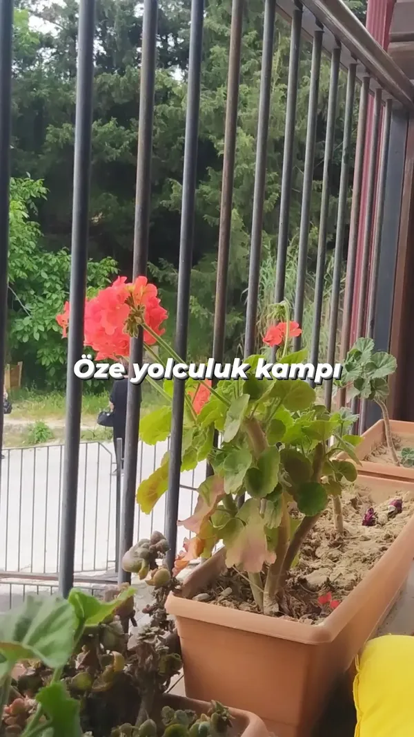 Çiçeklerle dolu saksılar ve yemyeşil doğa ile huzurlu balkon manzarası.
