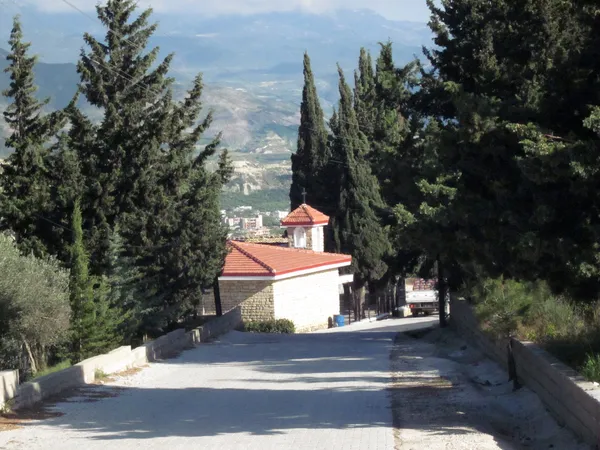 Yemyeşil ağaçlarla çevrili taş yol, kırmızı çatılı bina ve dağ silueti