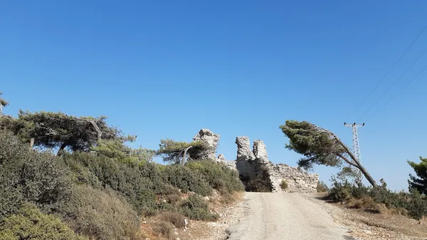 Ağaçlarla çevrili yolda ilerleyen taş kalıntıları ve açık mavi gökyüzü.