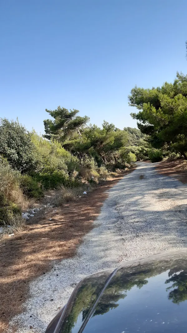 Ormanlık alanda taş kaplı yol, çam ağaçları ve mavi gökyüzü ile çevrili.