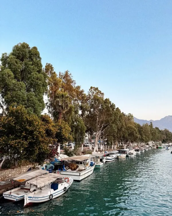 Sakin su kenarında sıralanmış küçük tekneler ve yeşil ağaçlar