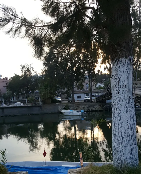 Sakin su yüzeyinde ağaçların ve binaların yansıması, mavi botlar ile huzurlu bir turizm alanı.