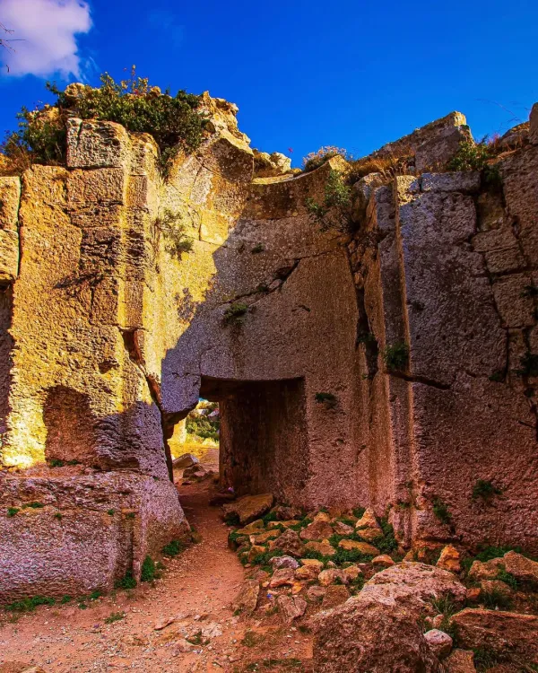 Doğal ortamda büyük taş yapılar, yeşil bitkiler ve çatlak duvarlar.