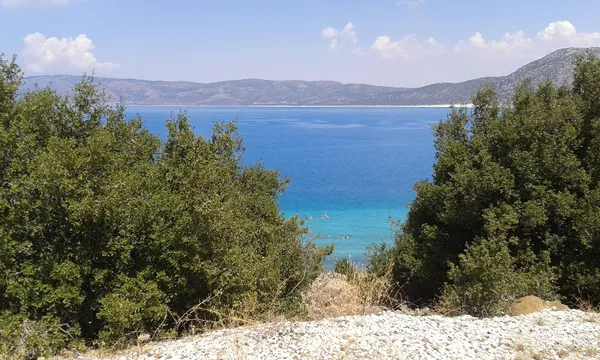 Ağaçlarla kaplı alan, berrak mavi su ve dağlık arka plan ile huzurlu bir yaz manzarası.