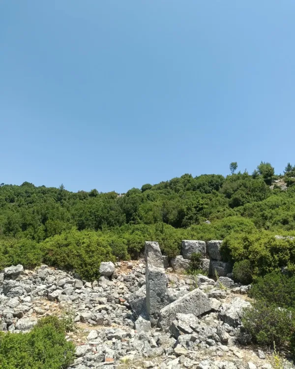 Geniş mavi gökyüzü altında, yeşil ağaçlarla kaplı tepe ve tarihi taş harabe