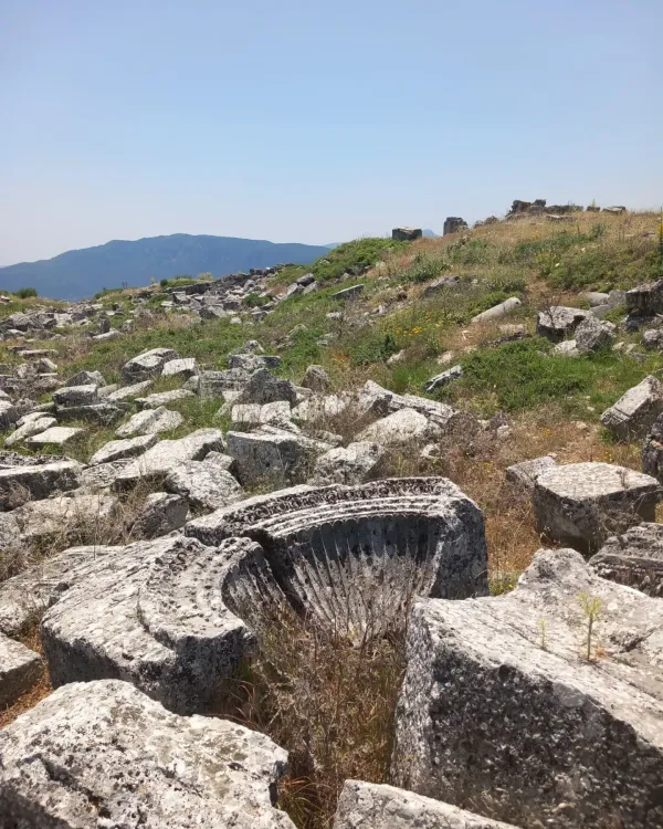 Sık bitki örtüsüyle kaplı antik kalıntılar, yuvarlak taş parça ve dağ silueti