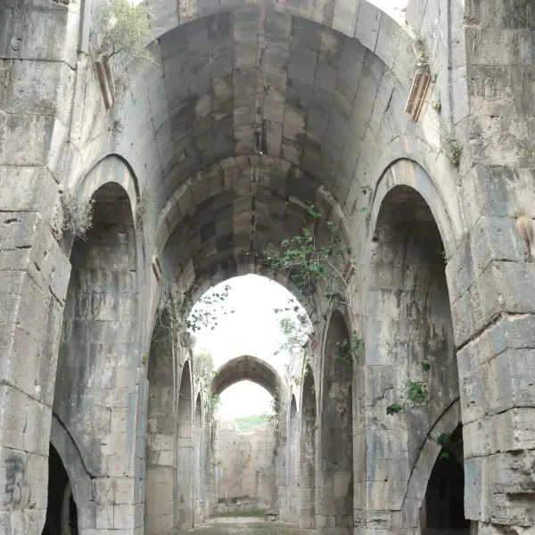 Tarihi yapının kalıntıları, yuvarlak kemerli tavanlar ve bitkilerle dolu iç mekan.