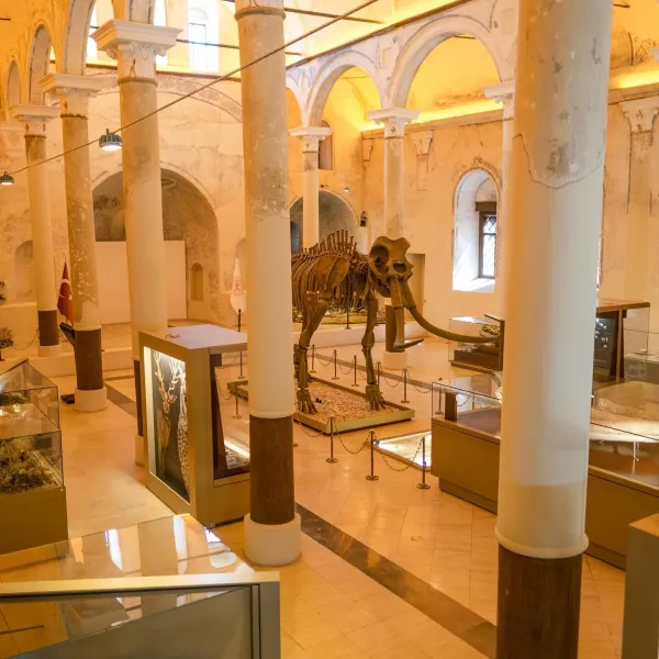Geniş müze iç mekanında mamut iskeleti ve sergi alanları