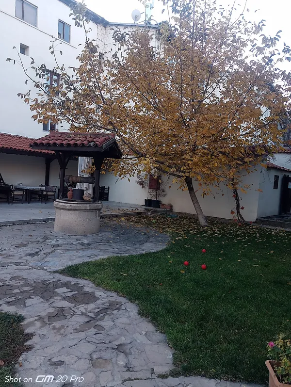 Açık avluda büyük bir ağaç ve yuvarlak su kuyusu yer alıyor.