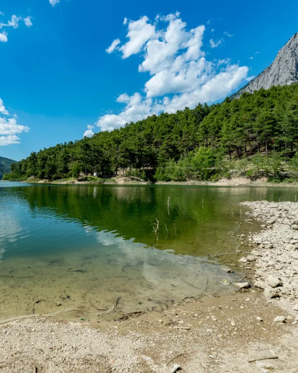Sakin göl, yeşil su yansıması ve çam ormanlarıyla çevrili doğal manzara