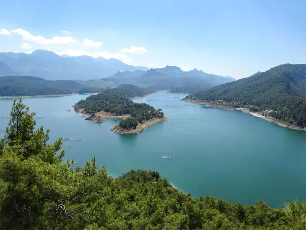 Yemyeşil ormanlarla çevrili, mavi suya sahip göl manzarası.