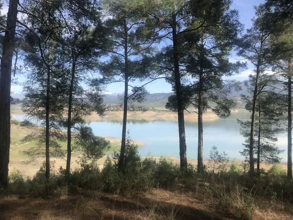 Geniş su kütlesi, ağaç gölgeleri ve dağların siluetiyle huzurlu bir doğal manzara.