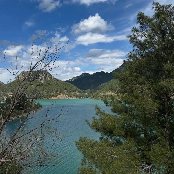 Yemyeşil dağlarla çevrili turkuaz renkli göl manzarası.