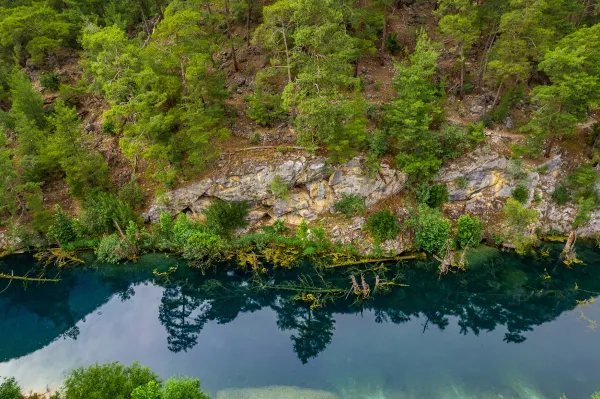 Sakin su kaynağı ve yemyeşil ormanın görüntüsü.
