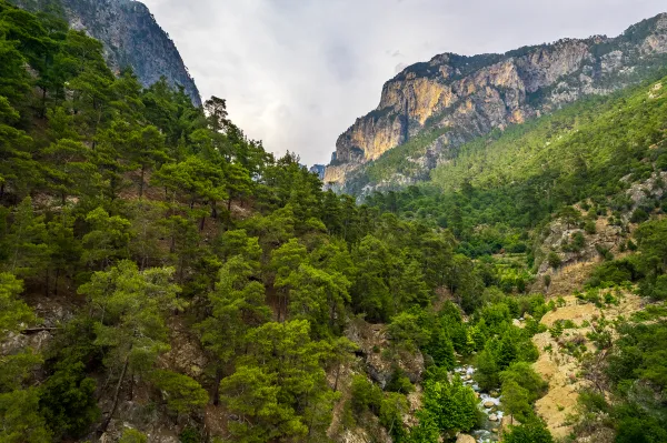Yemyeşil ağaçlarla kaplı dağlar ve derin vadiler, hafif akıntılı bir dere ile birleşiyor.