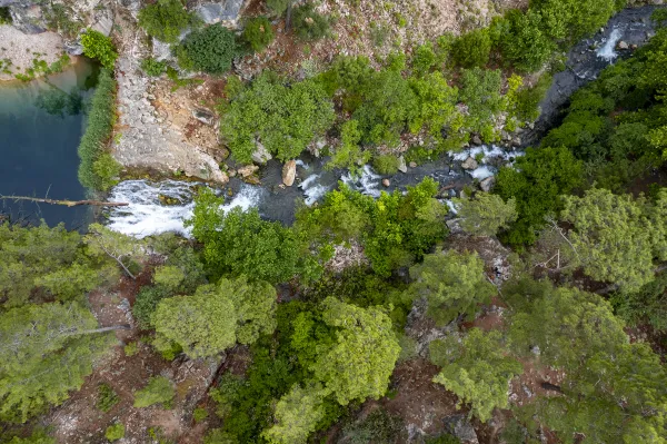 Yemyeşil ağaçlar arasından akan berrak su ve küçük şelaleler