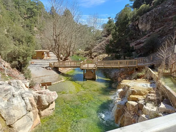 Berrak yeşil su, ahşap köprü ve ağaçlarla çevrili kanyon manzarası