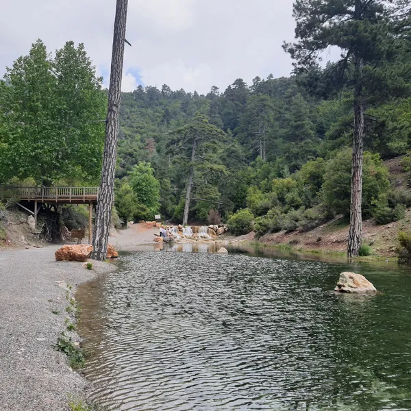 Karanlıkdere Kanyonu'nda yeşil ormanlarla çevrili su birikintisi ve yürüyüş yolu