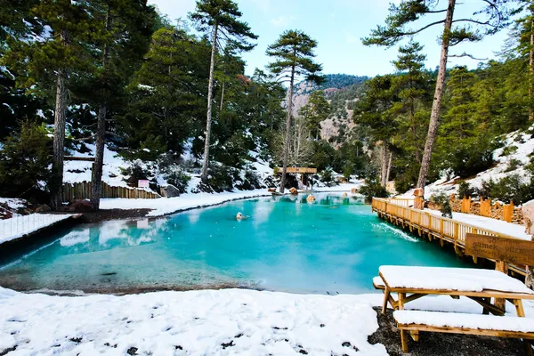 Karla kaplı ormanda açık mavi su kaynağı, yüksek ağaçlar ve ahşap yürüyüş yolu.