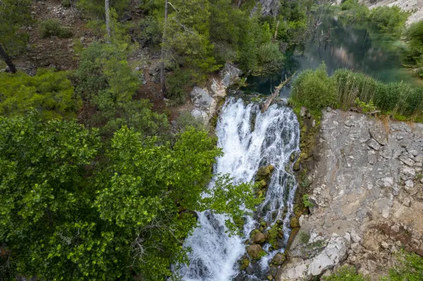 Büyük yapraklı ağaçlar arasında, kayalardan dökülen şelale ve sakin su birikintisi.