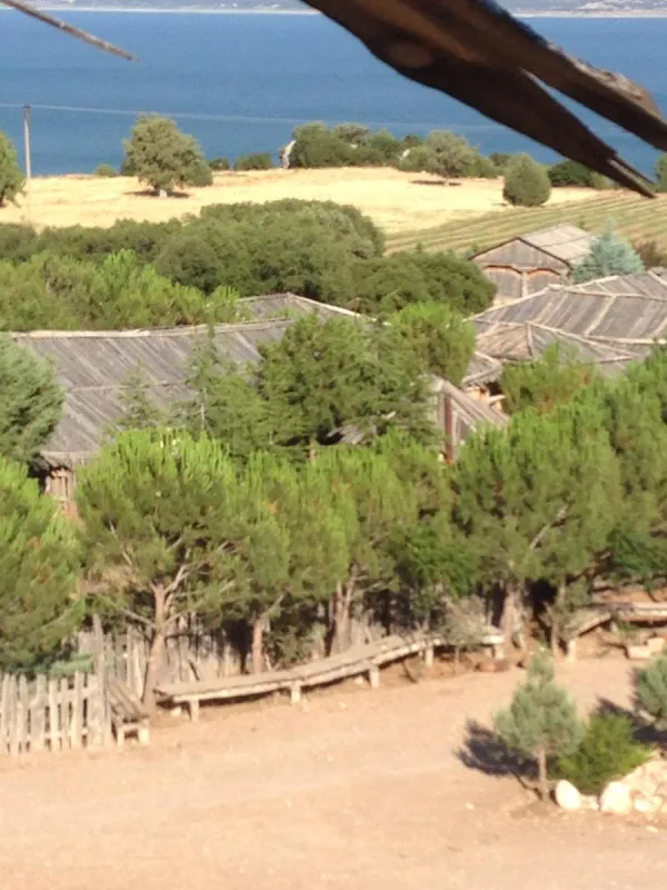 Yeşil ağaçlarla çevrili ahşap yapılar ve mavi su manzarası