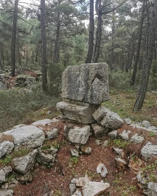Yeşil ormanda yer alan yıpranmış taş yapı ve çevresindeki ağaçlar