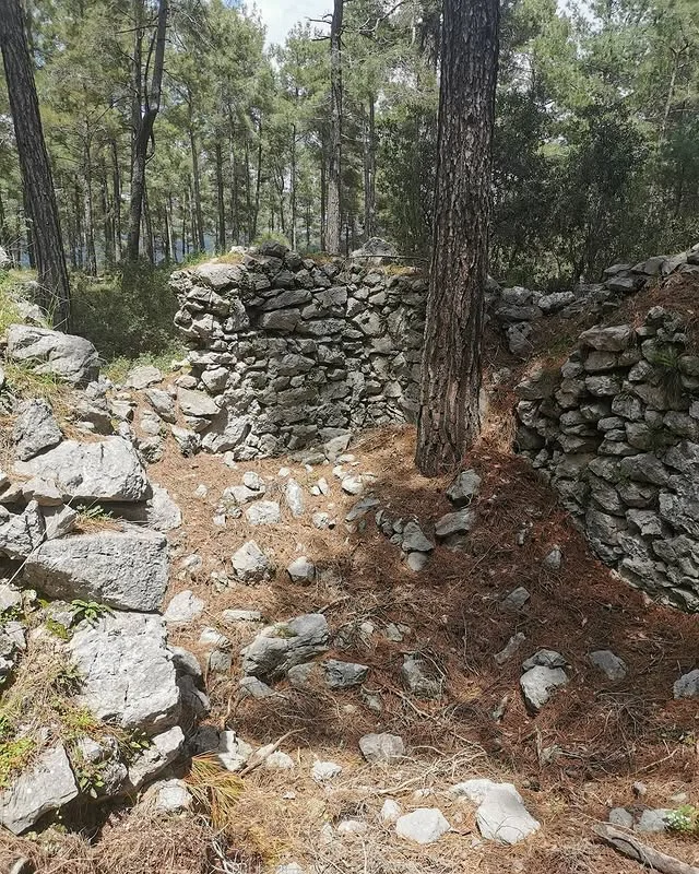 Tarihin İzleri - Ormanlık Alanda Taş Kalıntılar ve Yeşil Bitki Örtüsü Ormanlık alanda yer alan büyük taş kalıntıları ve yeşil bitki örtüsü