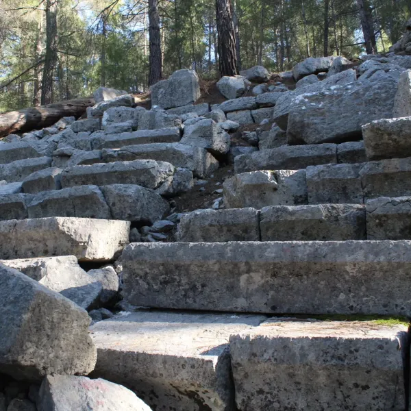 Büyük taş bloklardan oluşan antik yapı, yemyeşil orman içinde yer alıyor.
