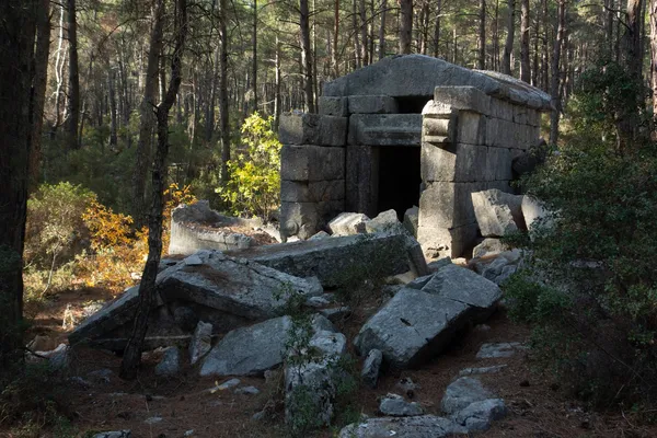 Yoğun ağaçlarla çevrili antik yapının önünde büyük taşlar ve karanlık bir giriş görünmekte.