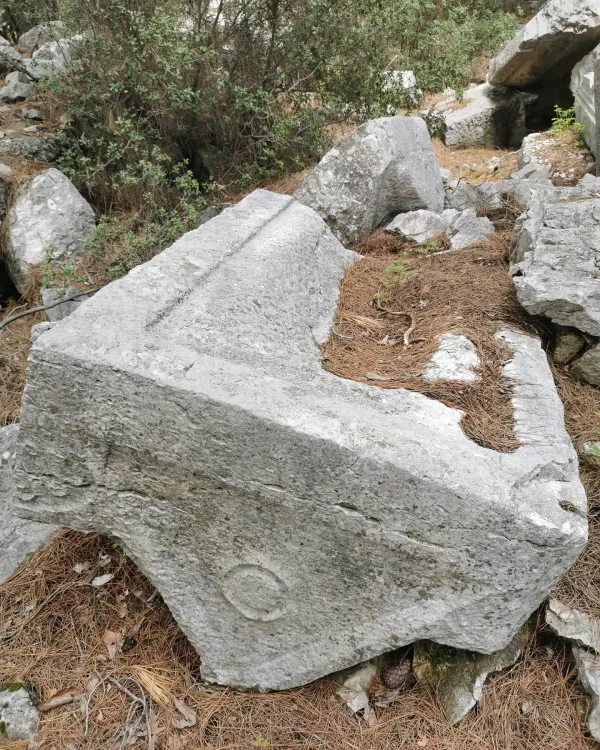 Büyük bir taş parçası, ince çizgiler ve dairesel şekillerle kaplı, çevresinde yeşil bitkiler var.