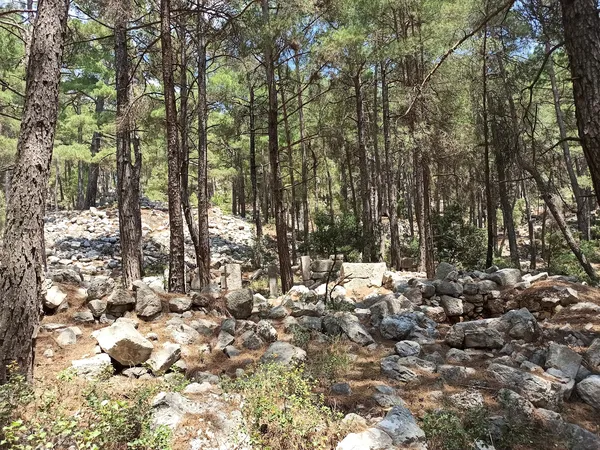 Yüksek çam ağaçları arasında yer alan taş yığınları ve huzurlu doğal alan.