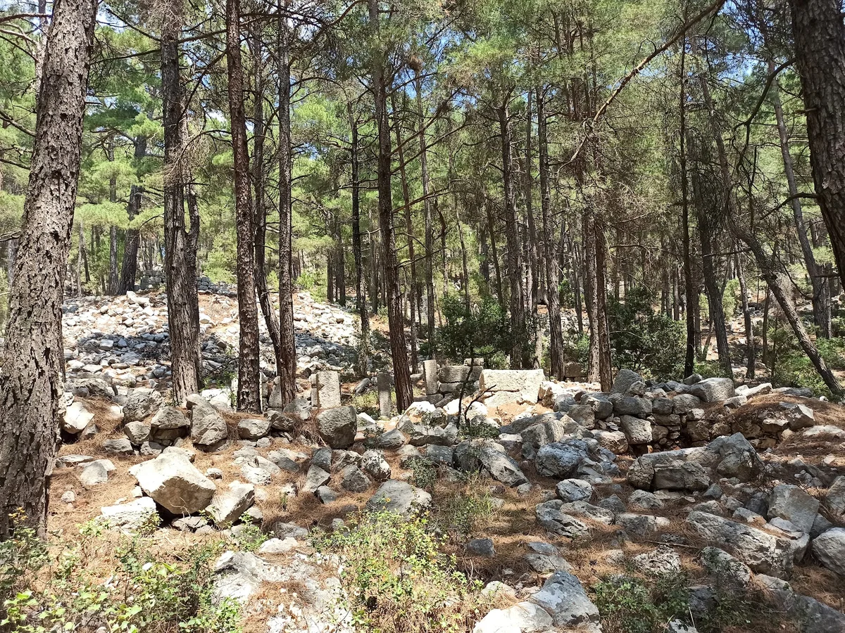 Doğayla İç İçe Sia Antik Kenti - Taş Yığınları ve Huzurlu Alan! Yüksek çam ağaçları arasında yer alan taş yığınları ve huzurlu doğal alan.