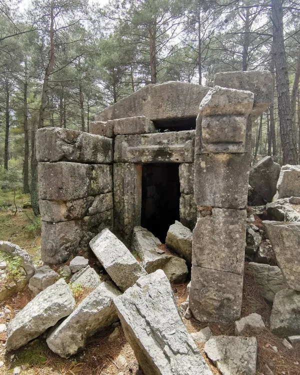 Ormanlık alanda yer alan harabe yapı, gölgeli iç kısım ve etrafında taşlar