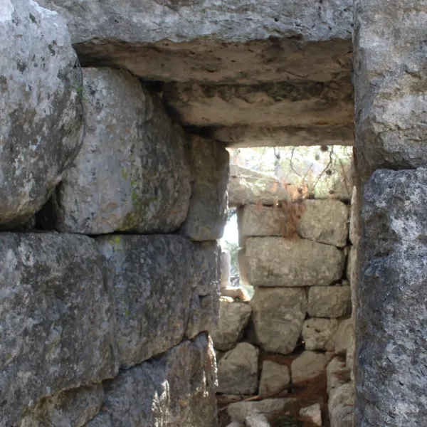 Taşlardan yapılmış bir yapının iç kısmında doğal ışık ve bitkilerle dolu duvarlar görünmekte.