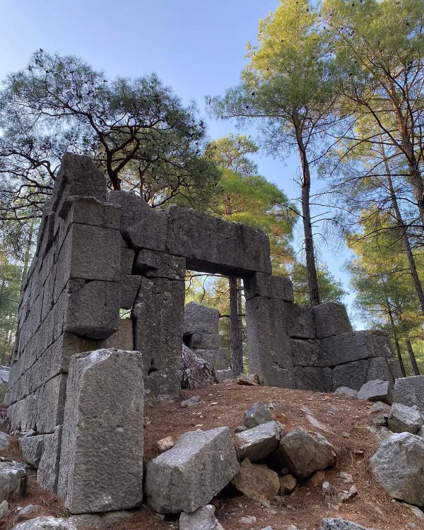 Sia antik kentinin orman arasındaki taş duvarları ve kapısı görünmekte.