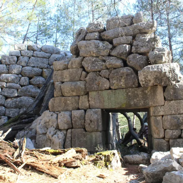 Ormanlık alanda yer alan taşlardan yapılmış eski yapı kalıntısı