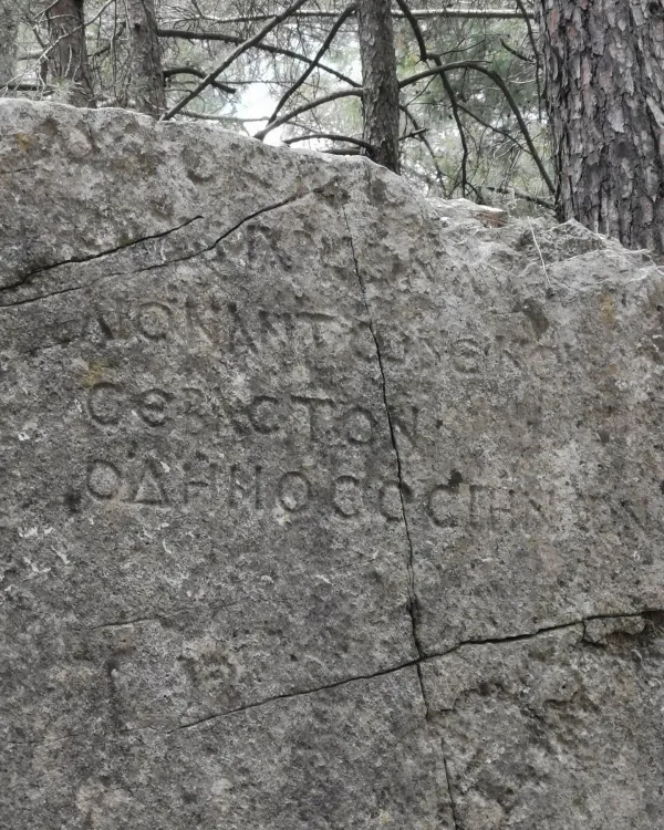 Yoğun orman içinde büyük taş üzerindeki aşınmış yazıtlar