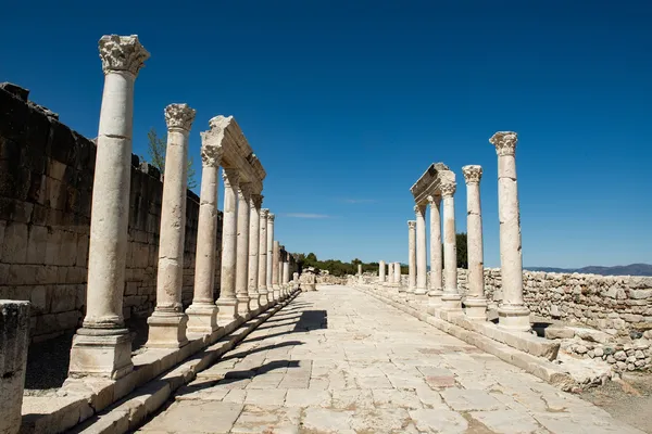 Antik kalıntılar, sütunlar ve yeşil ağaçlarla tarihi bir atmosfer sunuyor.